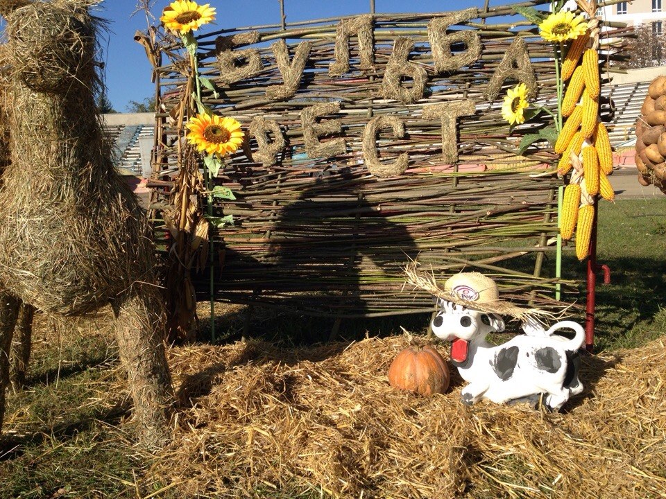 Щедрик на Всеукраїнському фестивалі-ярмарку "Бульба-Фест"!