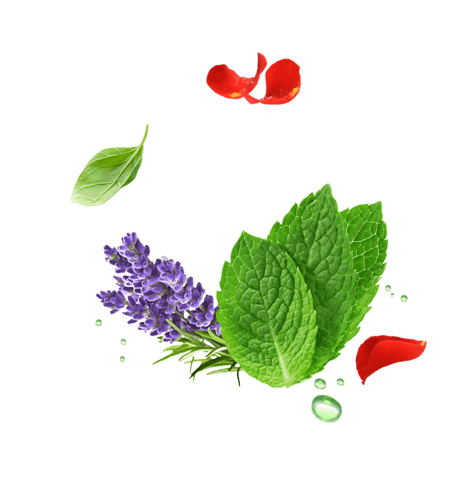 Flowers and greens