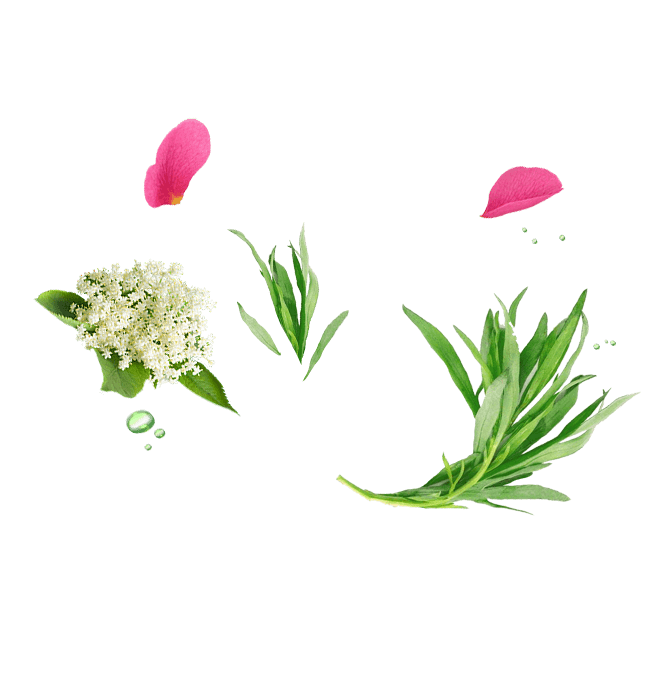 Flowers and greens
