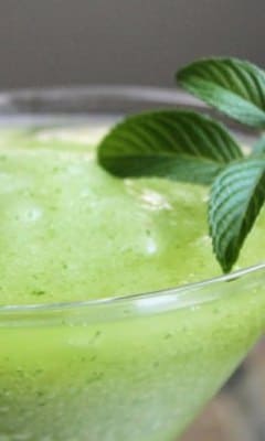 Frozen Tarragon Mojito 